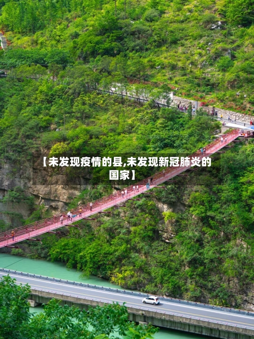 【未发现疫情的县,未发现新冠肺炎的国家】-第1张图片